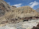 13 Ready To Climb The Hill To Tashi Lhakhang Gompa Next To Phu Village 